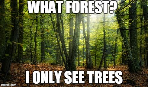 Can't See the Forest From the Trees